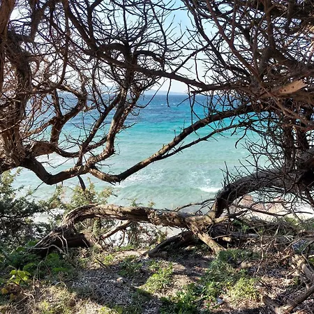 Σπίτι διακοπών Tonino Calasetta